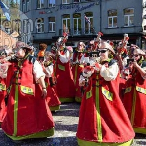 Carnaval de La Roche 2017