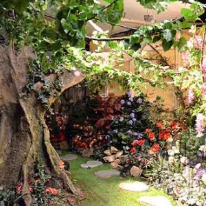 TSF.be -4591 TSF.be -4591