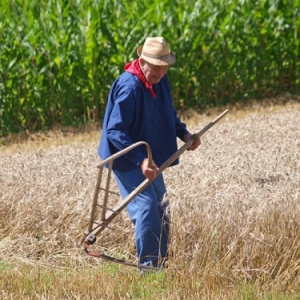 Fete de la moisson a Foy