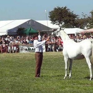 Fete du Cheval 2007-video 17