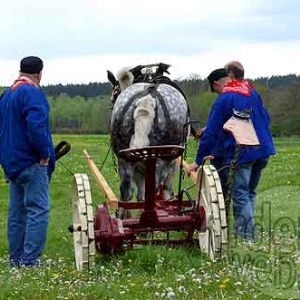 A Bon Vi Timps Bovigny-4755