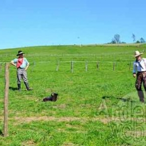 Willow Springs Western Festival - photo 2299