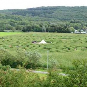 Labyrinthe de Barvaux sur Ourthe - 9854