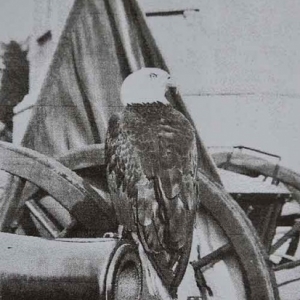 Marie-Elise artiste peintre-30-3060