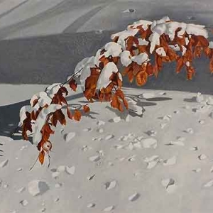 Ameel Arthur Ameel Arthur