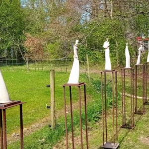 Dawaa Huizinga-Molom - Ode aan de vrouw (Ceramics)