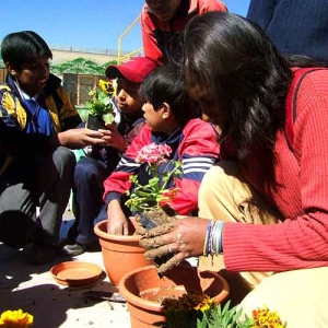 Amigo Negro Jose - 04