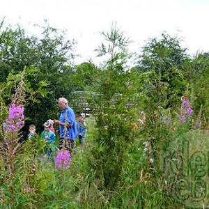 Attraction touristique OVive Dochamps - 7346