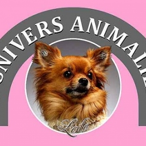 Univers Animalier Univers Animalier