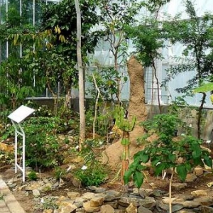 Jardin botanique national de Belgique 