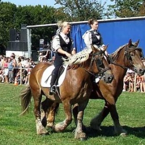 Fete du Cheval 2007-video 20