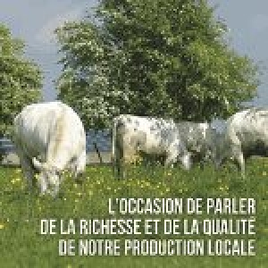 Blanc Bleu Belge, Oscar wallon