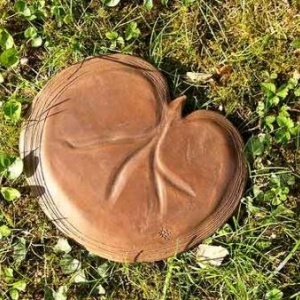 Fascination of Plants Day Fascination of Plants Day