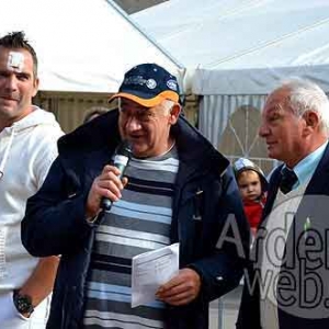 Cheval de trait ardennais-478