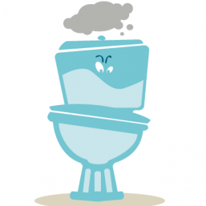 Les toilettes ne sont pas des egouts