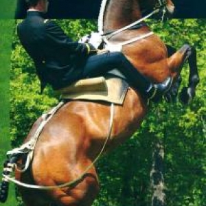 A cheval dans le Saumurois