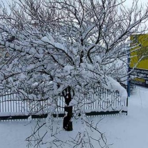 vue de la fenetre de notre bureau. 30cm de neige