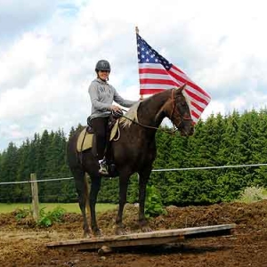 Elevage de Rocky Mountain Horse