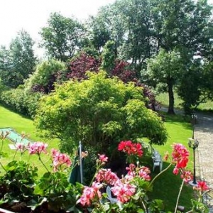 Vacances , chambres, hote, ardenne - Gastenkamers, ardennen