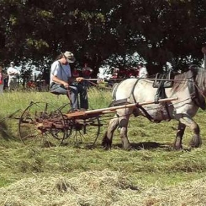 Fete du Cheval 2007-video 23