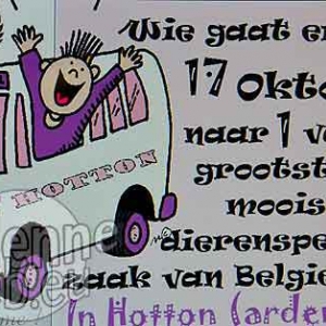 Flamand et wallon - 710 Flamand et wallon - 710