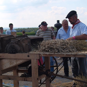 Fete de la moisson a Foy