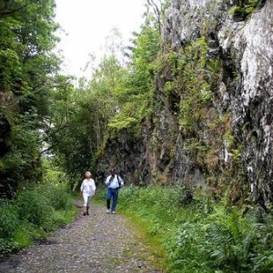 Une gorge taillee dans le schiste, voie du tram du 19 e siecle - 106