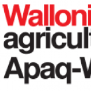 Blanc Bleu Belge, Oscar de l'élevage wallon