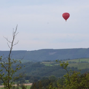 Vol en Montgolfiere en Belgique - 7879