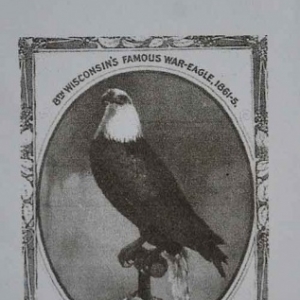 Marie-Elise artiste peintre-26-3055