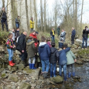  Ecole communale de Malmedy. Saumons en classe 