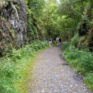 Une gorge taillee dans le schiste, voie du tram du 19 e siecle - photo104