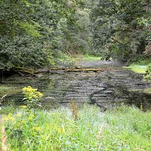 Canal de Bernistap - 8950