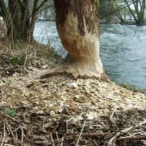 Contrats riviere Ambleve/Rour et Moselle/Our.