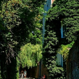  Le Festival de Promenade de LIEGE