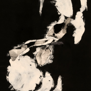 Annwyn Annie Rousseau