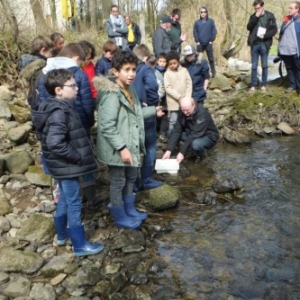  Ecole communale de Malmedy. Saumons en classe 