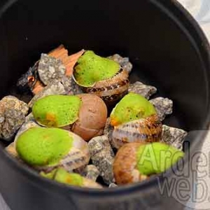 ouverture Air du Temps a Liernu-2937 ouverture Air du Temps a Liernu-2937