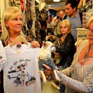 Chic life chic pet-111