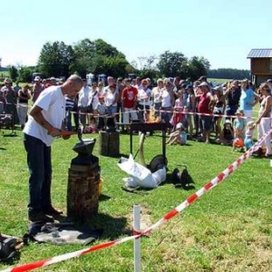 Fete du Cheval 2007-video 04