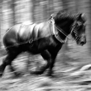 03-concours photo, Metiers Nature, Fondation Saint-Hubert 