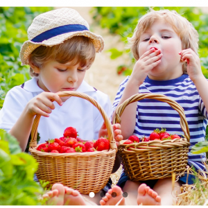 Graine d'AGRI, site didactique pour découvrir l'agriculture