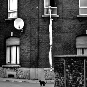 MICHEL LORIAUX LE CHAT FUGUEUR MICHEL LORIAUX LE CHAT FUGUEUR