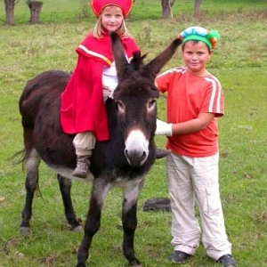 A la recherche de Saint-Nicolas