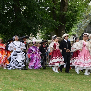 Fete des Myrtilles 2016 Vielsalm-Davin_2636