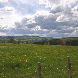 Balade - Découverte du sentier castor « Prés de la Lienne »