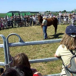 Tavigny : Fete du Cheval 2007-photo3819