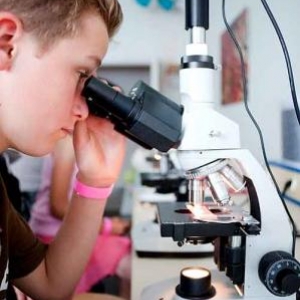 Fascination of Plants Day Fascination of Plants Day