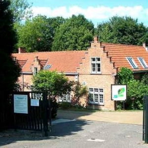 Fascination of Plants Day Fascination of Plants Day