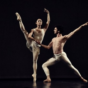 Wim Vanlessen, Ballet Royal de Flandres, Belgique